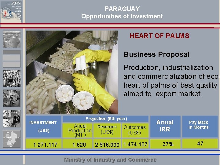 PARAGUAY Opportunities of Investment HEART OF PALMS Business Proposal Production, industrialization commercialization of eco.