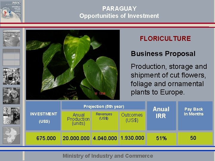 PARAGUAY Opportunities of Investment FLORICULTURE Business Proposal Production, storage and Haga clic para cambiar