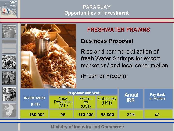 PARAGUAY Opportunities of Investment FRESHWATER PRAWNS Business Proposal Rise and commercialization of fresh el