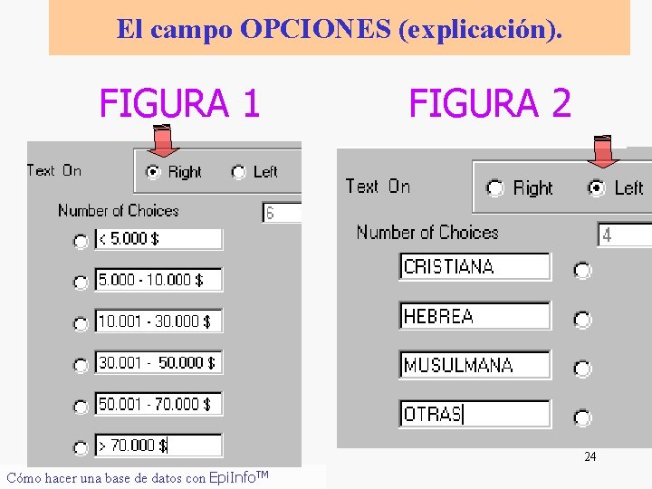 El campo OPCIONES (explicación). FIGURA 1 FIGURA 2 24 Cómo hacer una base de