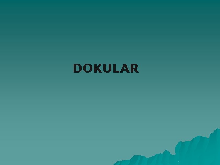 DOKULAR 