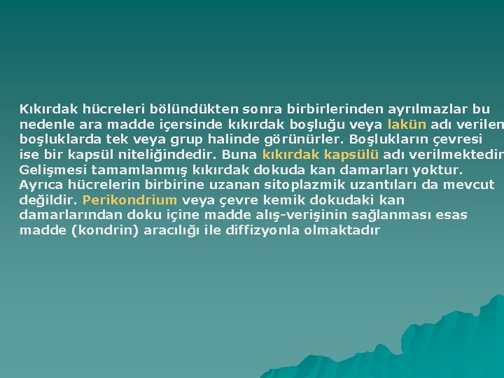 Kıkırdak hücreleri bölündükten sonra birbirlerinden ayrılmazlar bu nedenle ara madde içersinde kıkırdak boşluğu veya