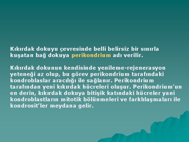 Kıkırdak dokuyu çevresinde belli belirsiz bir sınırla kuşatan bağ dokuya perikondrium adı verilir. Kıkırdak