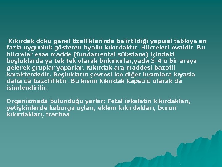 Kıkırdak doku genel özelliklerinde belirtildiği yapısal tabloya en fazla uygunluk gösteren hyalin kıkırdaktır. Hücreleri