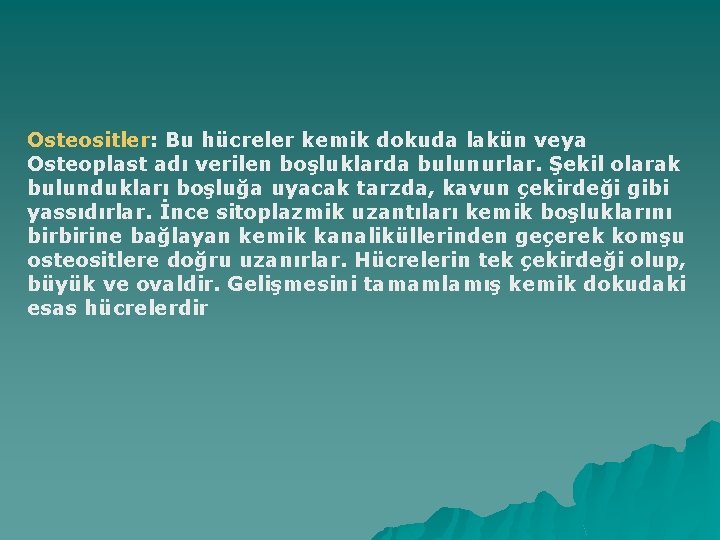 Osteositler: Bu hücreler kemik dokuda lakün veya Osteoplast adı verilen boşluklarda bulunurlar. Şekil olarak