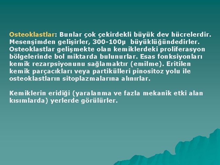 Osteoklastlar: Bunlar çok çekirdekli büyük dev hücrelerdir. Mesenşimden gelişirler, 300 -100µ büyüklüğündedirler. Osteoklastlar gelişmekte