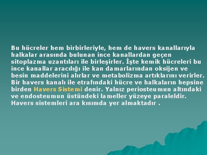 Bu hücreler hem birbirleriyle, hem de havers kanallarıyla halkalar arasında bulunan ince kanallardan geçen