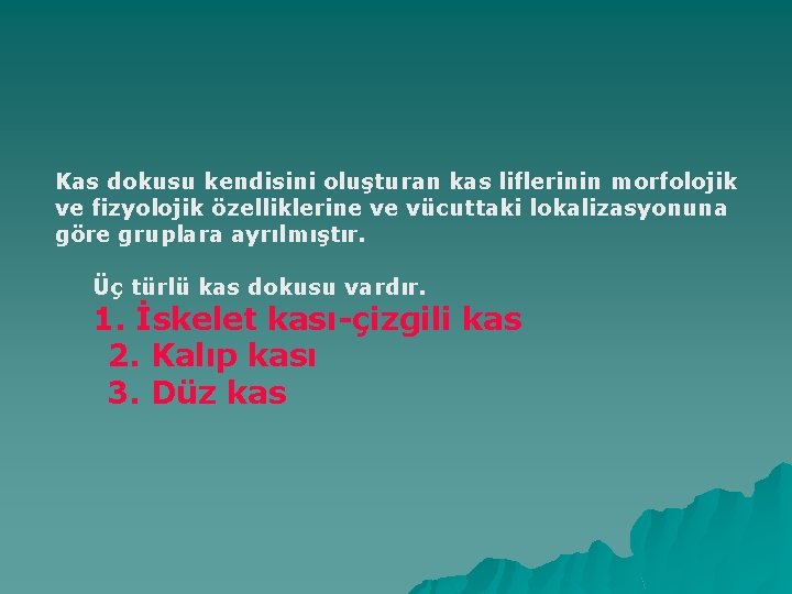 Kas dokusu kendisini oluşturan kas liflerinin morfolojik ve fizyolojik özelliklerine ve vücuttaki lokalizasyonuna göre