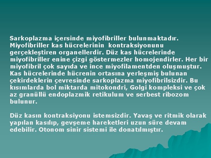 Sarkoplazma içersinde miyofibriller bulunmaktadır. Miyofibriller kas hücrelerinin kontraksiyonunu gerçekleştiren organellerdir. Düz kas hücrelerinde miyofibriller