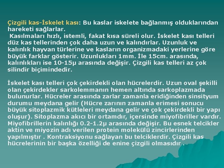 Çizgili kas-İskelet kası: Bu kaslar iskelete bağlanmış olduklarından hareketi sağlarlar. Kasılmaları hızlı, istemli, fakat