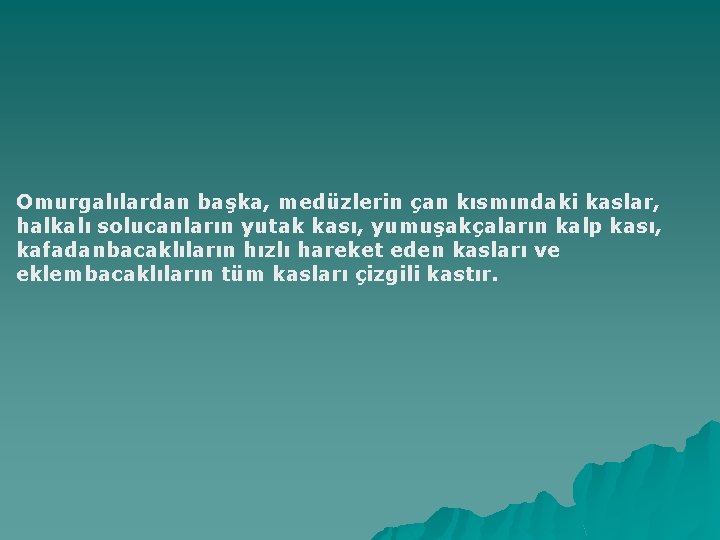 Omurgalılardan başka, medüzlerin çan kısmındaki kaslar, halkalı solucanların yutak kası, yumuşakçaların kalp kası, kafadanbacaklıların