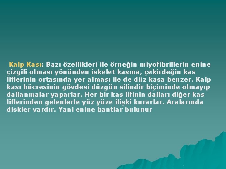 Kalp Kası: Bazı özellikleri ile örneğin miyofibrillerin enine çizgili olması yönünden iskelet kasına, çekirdeğin