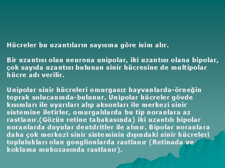 Hücreler bu uzantıların sayısına göre isim alır. Bir uzantısı olan neurona unipolar, iki uzantısı