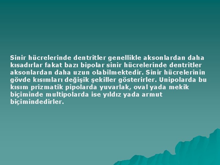 Sinir hücrelerinde dentritler genellikle aksonlardan daha kısadırlar fakat bazı bipolar sinir hücrelerinde dentritler aksonlardan