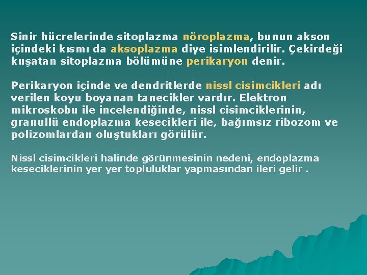 Sinir hücrelerinde sitoplazma nöroplazma, bunun akson içindeki kısmı da aksoplazma diye isimlendirilir. Çekirdeği kuşatan