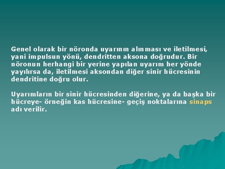 Genel olarak bir nöronda uyarının alınması ve iletilmesi, yani impulsun yönü, dendritten aksona doğrudur.