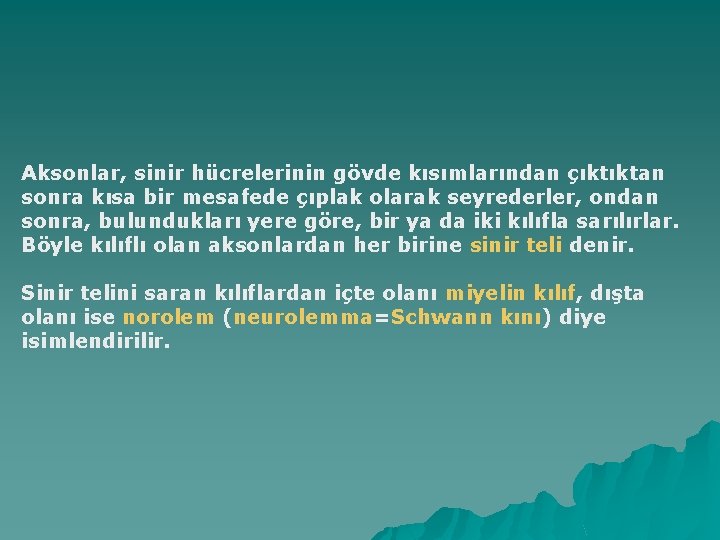 Aksonlar, sinir hücrelerinin gövde kısımlarından çıktıktan sonra kısa bir mesafede çıplak olarak seyrederler, ondan