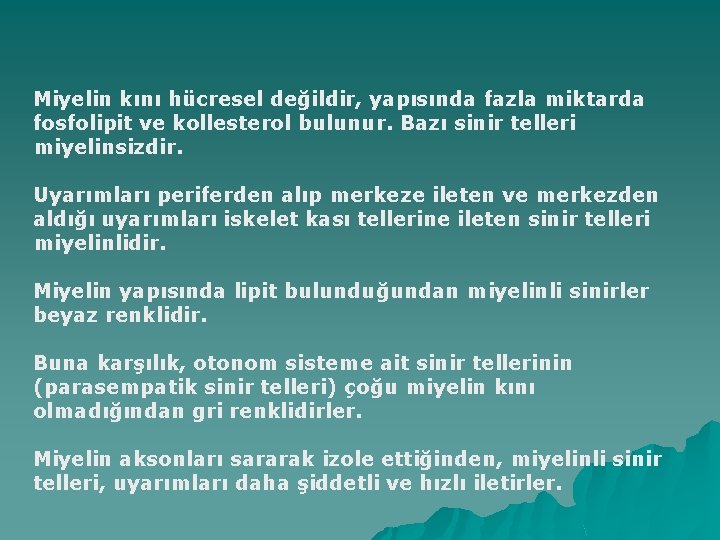 Miyelin kını hücresel değildir, yapısında fazla miktarda fosfolipit ve kollesterol bulunur. Bazı sinir telleri