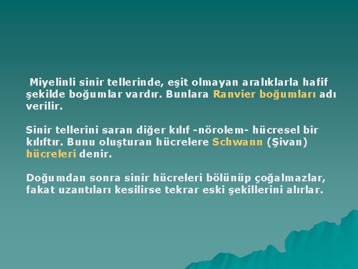 Miyelinli sinir tellerinde, eşit olmayan aralıklarla hafif şekilde boğumlar vardır. Bunlara Ranvier boğumları adı