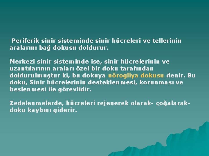 Periferik sinir sisteminde sinir hücreleri ve tellerinin aralarını bağ dokusu doldurur. Merkezi sinir sisteminde