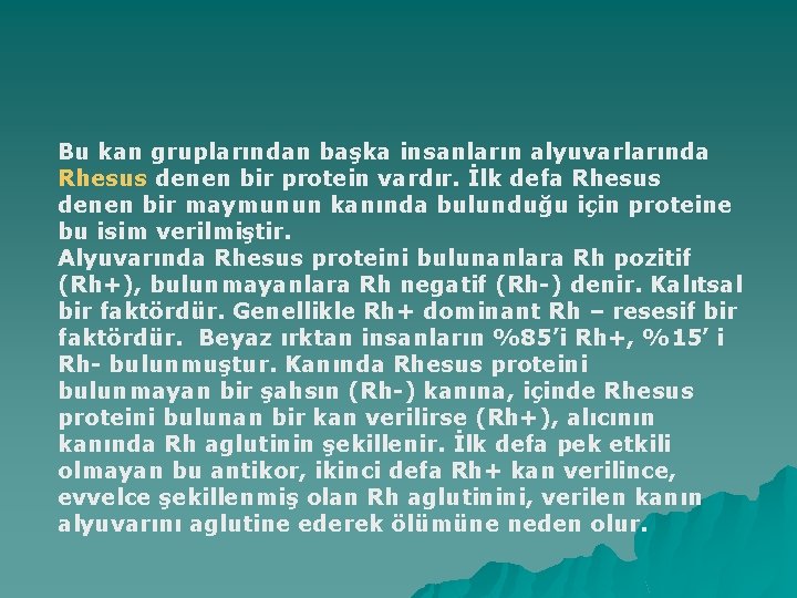 Bu kan gruplarından başka insanların alyuvarlarında Rhesus denen bir protein vardır. İlk defa Rhesus