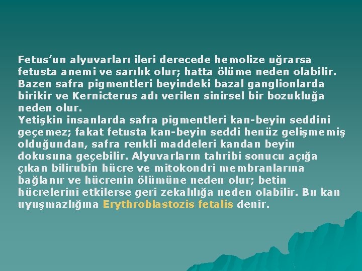 Fetus’un alyuvarları ileri derecede hemolize uğrarsa fetusta anemi ve sarılık olur; hatta ölüme neden