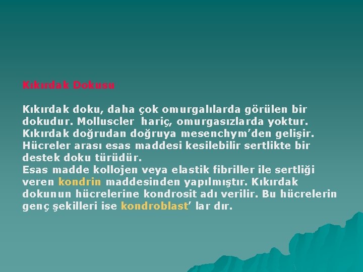 Kıkırdak Dokusu Kıkırdak doku, daha çok omurgalılarda görülen bir dokudur. Molluscler hariç, omurgasızlarda yoktur.