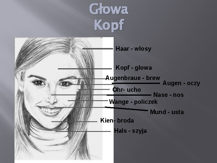 Głowa Kopf Haar - włosy Kopf - głowa Augenbraue - brew Augen - oczy