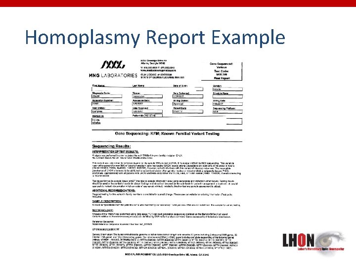 Homoplasmy Report Example 