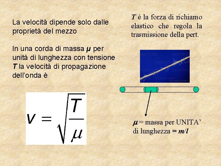 La velocità dipende solo dalle proprietà del mezzo T è la forza di richiamo La velocità dipende solo dalle proprietà del mezzo T è la forza di richiamo