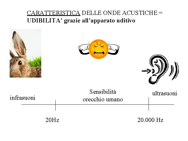 CARATTERISTICA DELLE ONDE ACUSTICHE = UDIBILITA’ grazie all’apparato uditivo Sensibilità orecchio umano infrasuoni 20