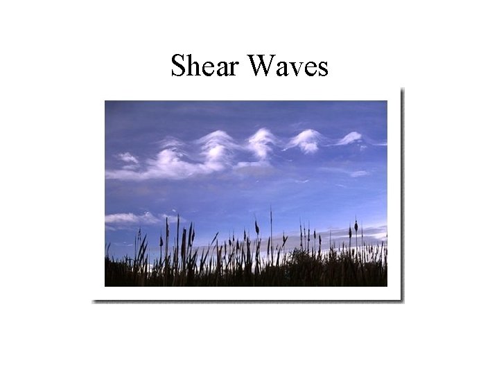 Shear Waves 