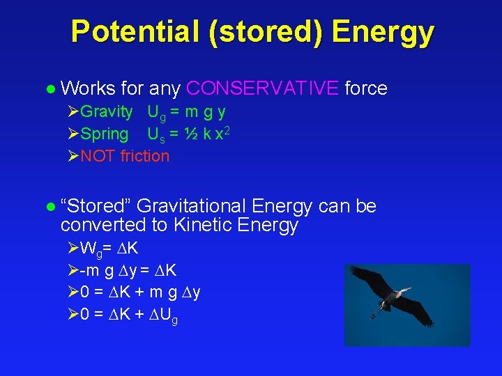 Potential (stored) Energy l Works for any CONSERVATIVE force ØGravity Ug = m g Potential (stored) Energy l Works for any CONSERVATIVE force ØGravity Ug = m g