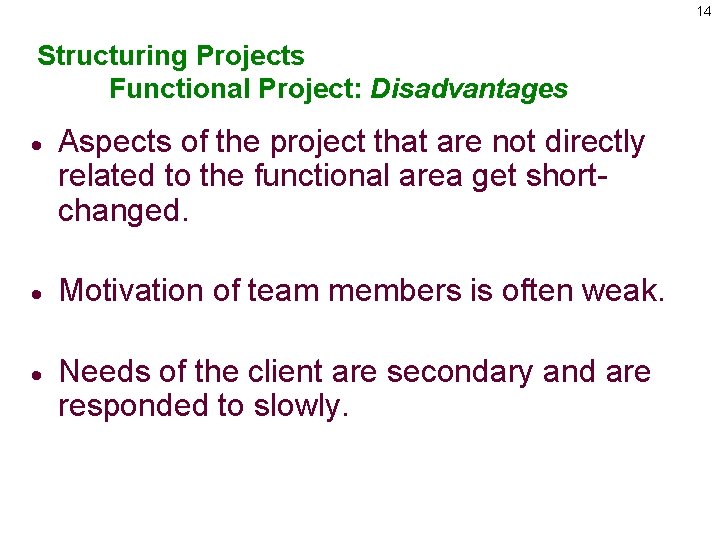 14 Structuring Projects Functional Project: Disadvantages · Aspects of the project that are not