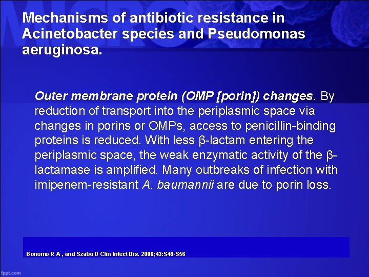 Mechanisms of antibiotic resistance in Acinetobacter species and Pseudomonas aeruginosa. Outer membrane protein (OMP