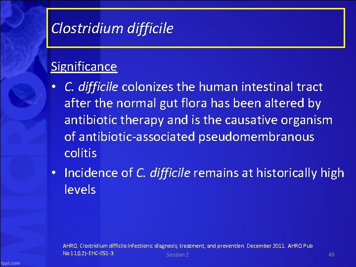 Clostridium difficile Significance • C. difficile colonizes the human intestinal tract after the normal