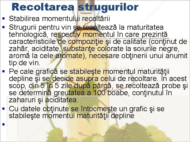 Recoltarea strugurilor § Stabilirea momentului recoltării § Strugurii pentru vin se recoltează la maturitatea