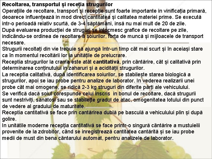 Recoltarea, transportul și receția strugurilor Operațiile de recoltare, transport și recepție sunt foarte importante