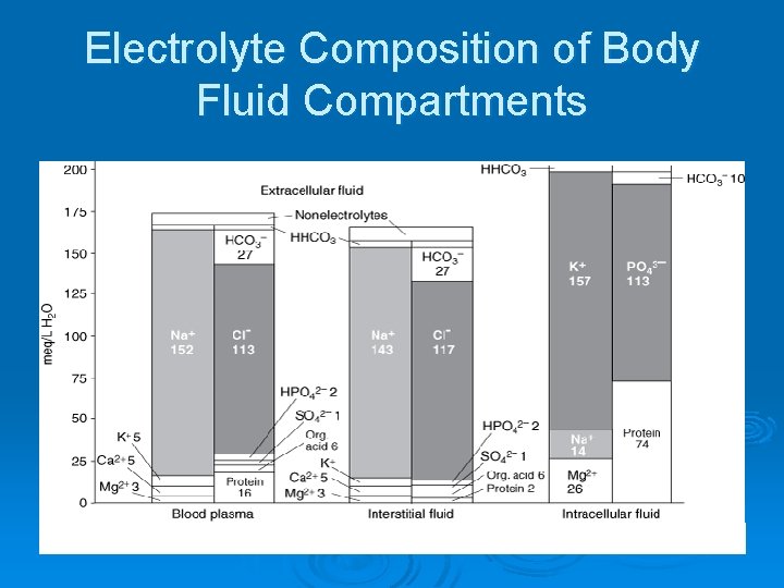 Electrolyte Composition of Body Fluid Compartments 