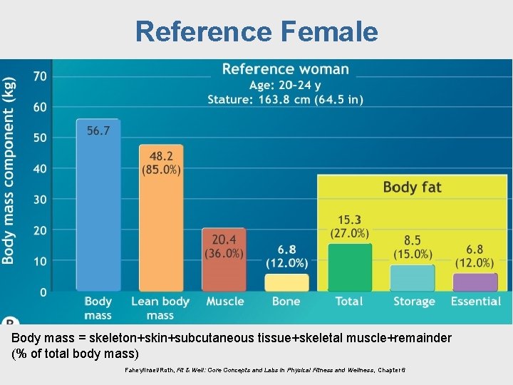 Reference Female Body mass = skeleton+skin+subcutaneous tissue+skeletal muscle+remainder (% of total body mass) Fahey/Insel/Roth,