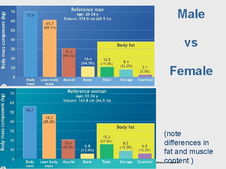 Male vs Female (note differences in fat and muscle content ) Fahey/Insel/Roth, Fit &