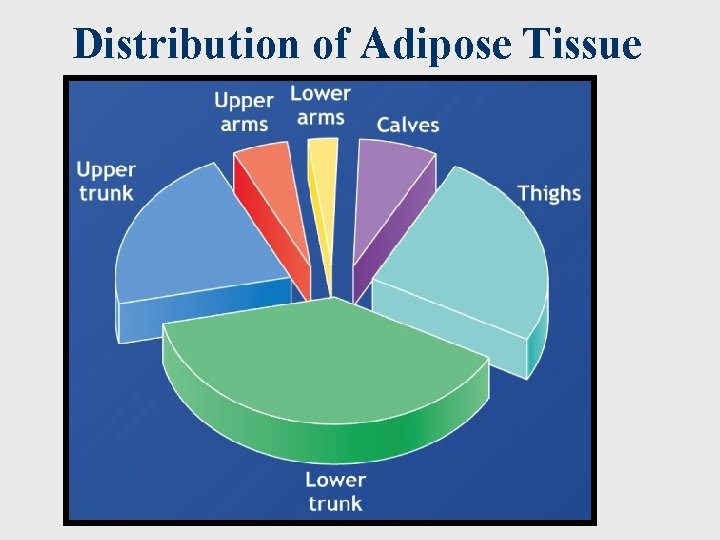 Distribution of Adipose Tissue Fahey/Insel/Roth, Fit & Well: Core Concepts and Labs in Physical