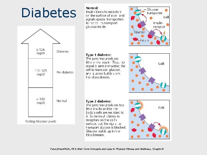 Diabetes Fahey/Insel/Roth, Fit & Well: Core Concepts and Labs in Physical Fitness and Wellness,