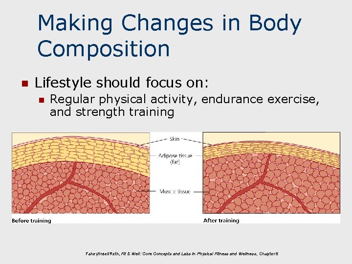 Making Changes in Body Composition n Lifestyle should focus on: n Regular physical activity,