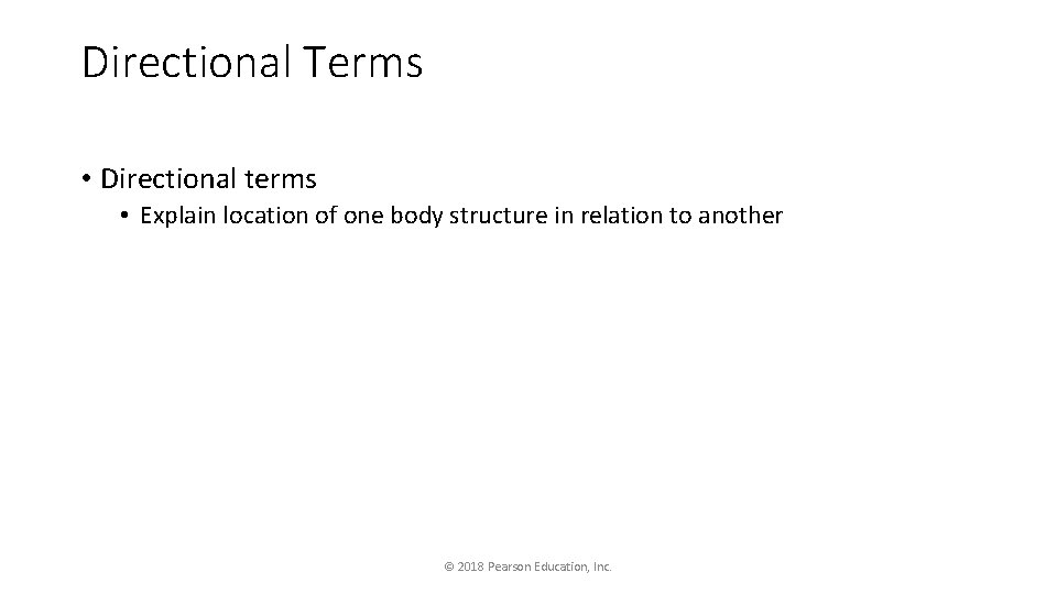 Directional Terms • Directional terms • Explain location of one body structure in relation