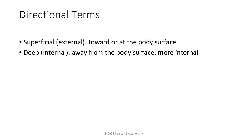 Directional Terms • Superficial (external): toward or at the body surface • Deep (internal):