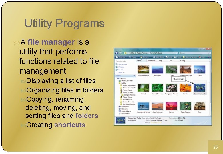 Utility Programs A file manager is a utility that performs functions related to file