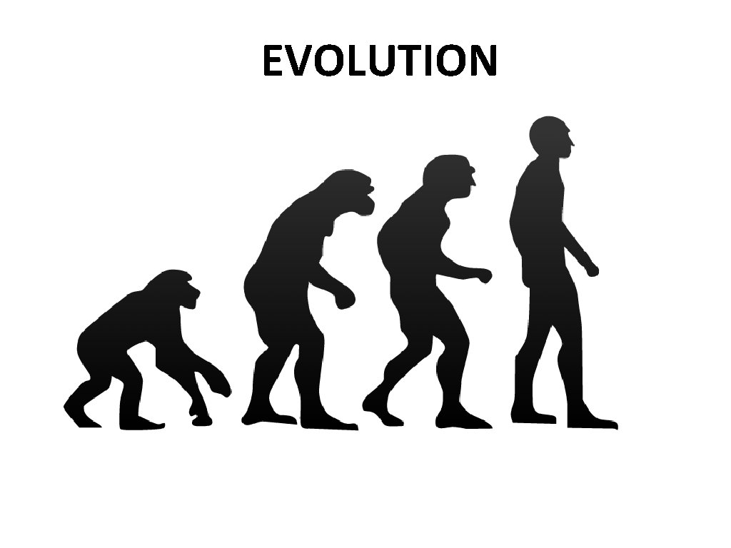 EVOLUTION 