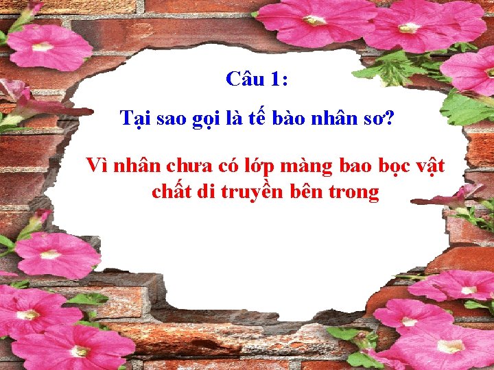 Câu 1: Tại sao gọi là tế bào nhân sơ? Vì nhân chưa có