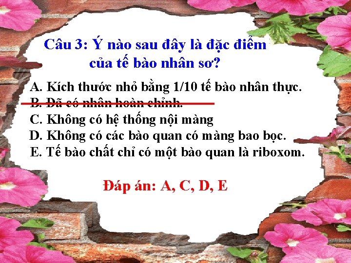 Câu 3: Ý nào sau đây là đặc điểm của tế bào nhân sơ?